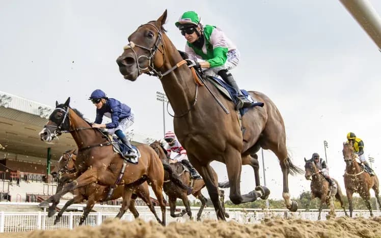 Next Week’s Horse Racing Picks & Previews – Global Group 1 Action thumbnail