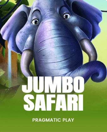 Jumbo Safari