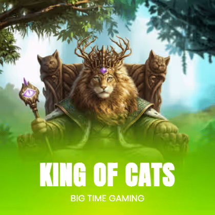 King of Cats