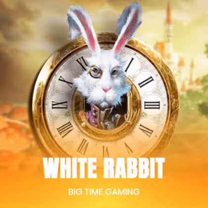 White Rabbit
