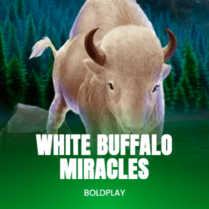 White Buffalo Miracles