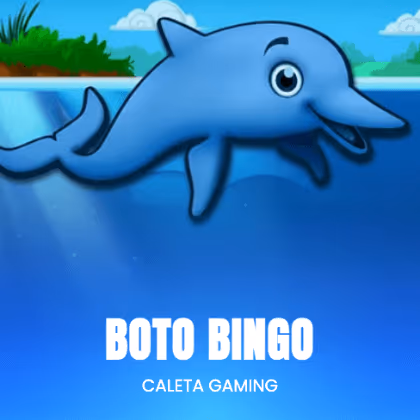 Boto Bingo