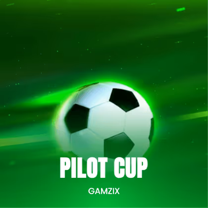 Pilot Cup