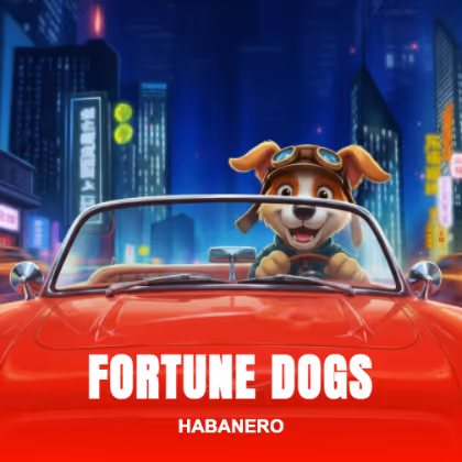 Fortune Dogs