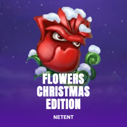 Flowers Christmas Edition