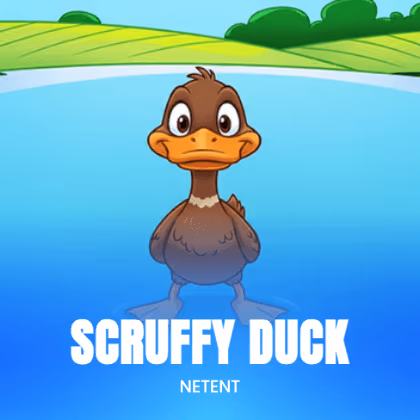 Scruffy Duck