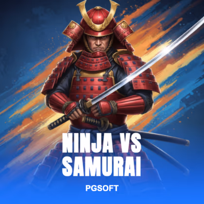 Ninja vs Samurai