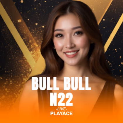 Bull Bull N22