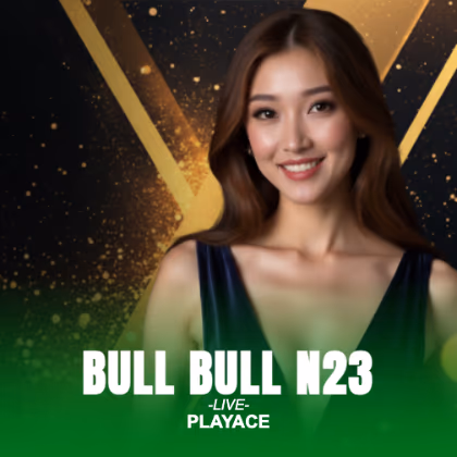 Bull Bull N23