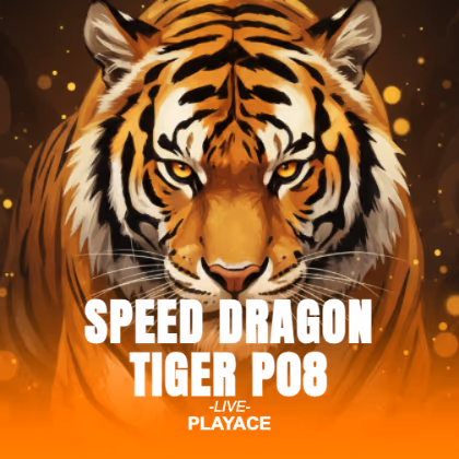 Speed Dragon Tiger P08
