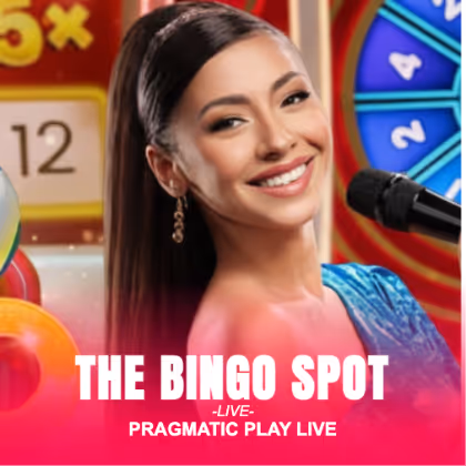 The Bingo Spot