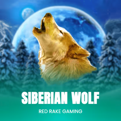 Siberian Wolf