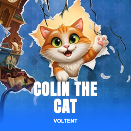 Colin the Cat
