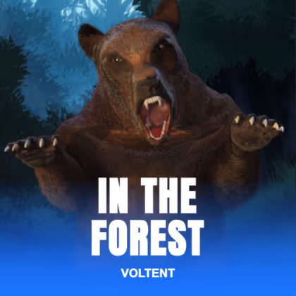 In The Forest