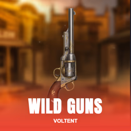 Wild Guns